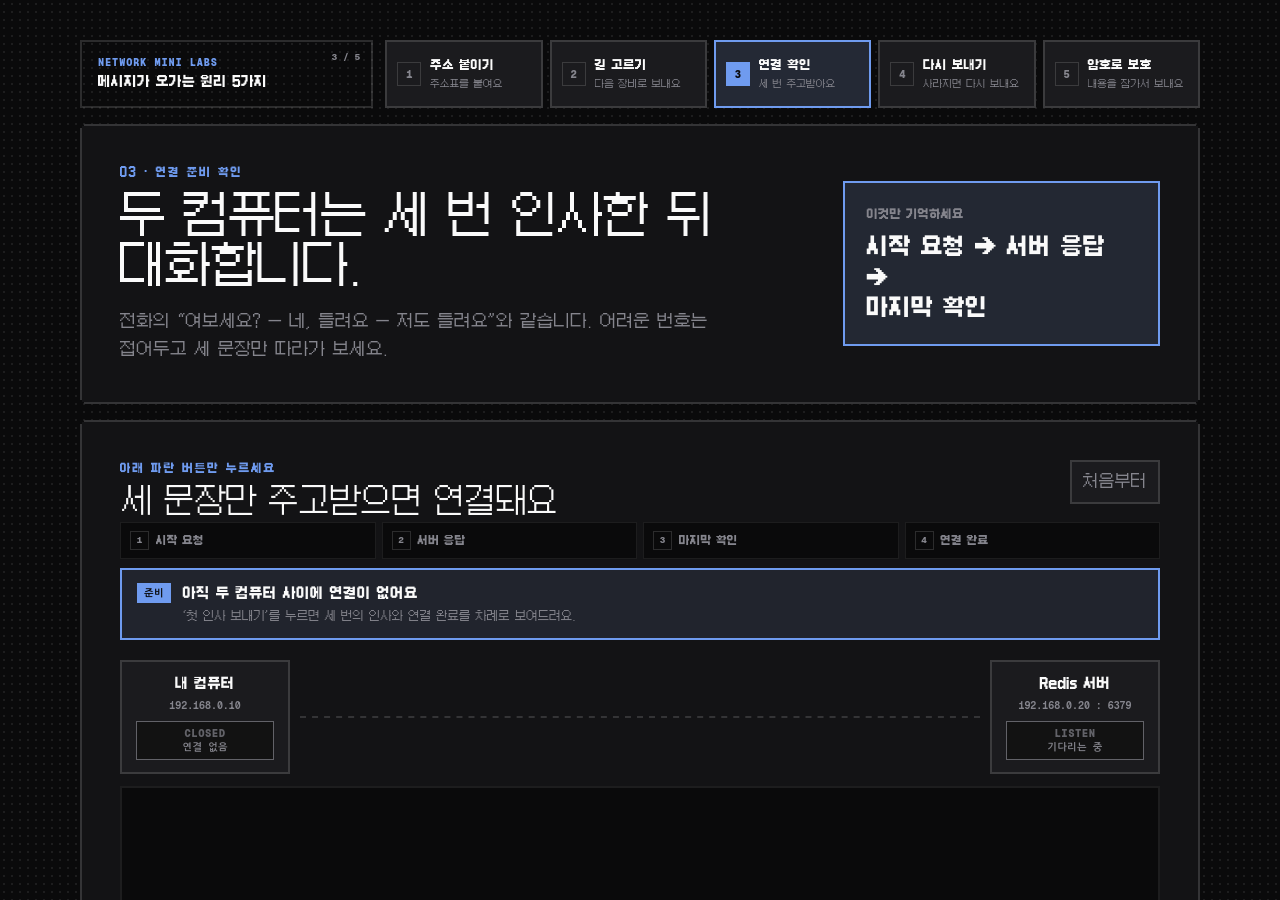 TCP가 두 번이 아니라 세 번 인사하는 이유 데모 화면
